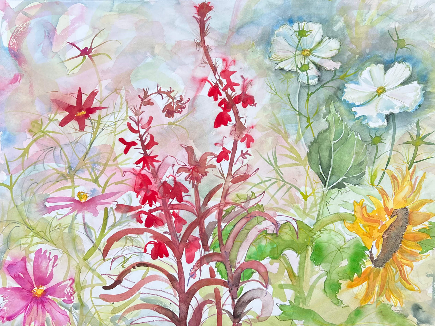 Watercolour - Lobelia, Sunflowers & Cosmos
